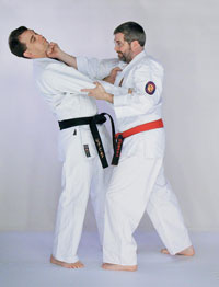 Isshin-Ryu
